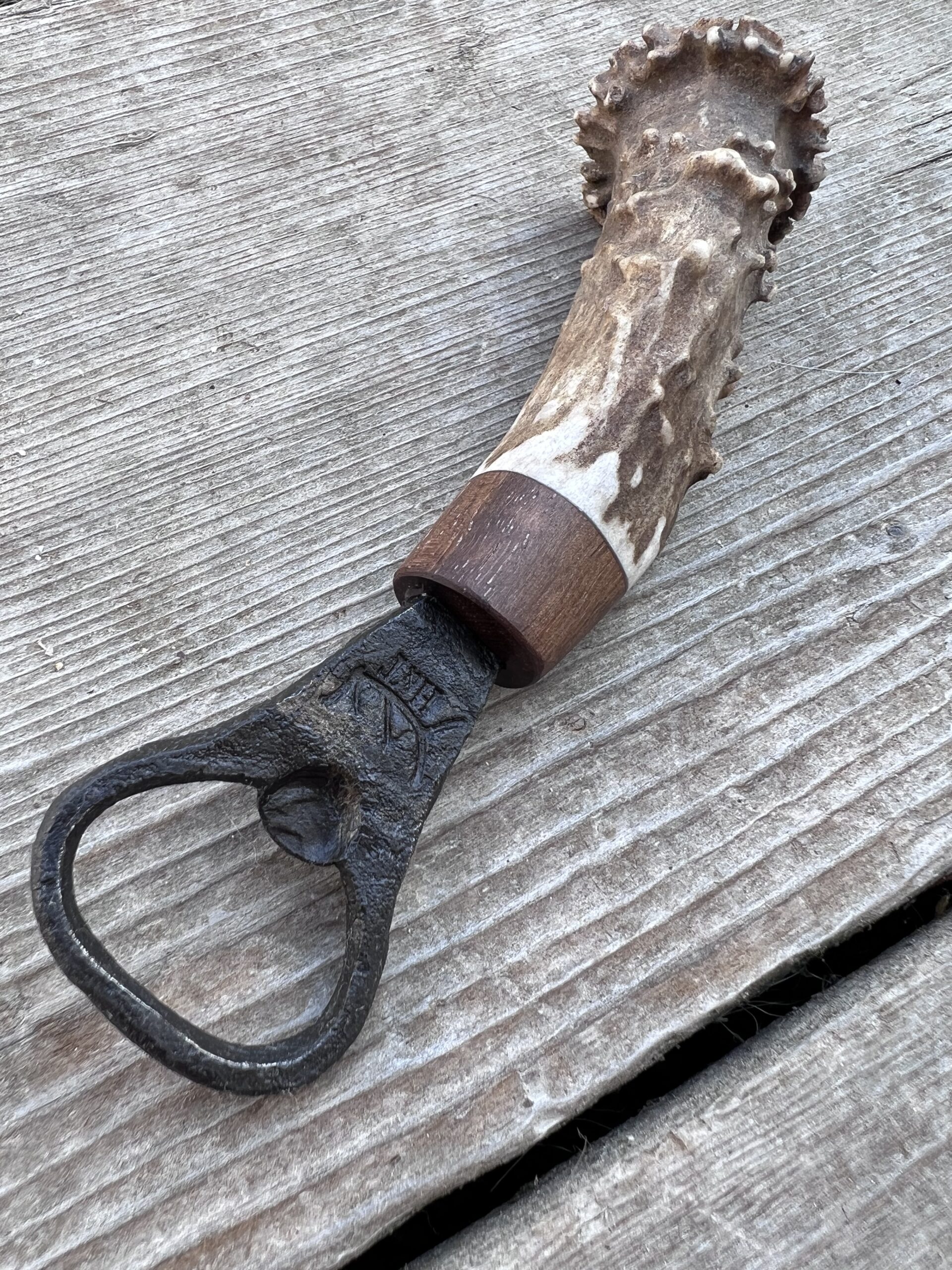 Black Walnut Wood Bolster - Antler Handle Bottle Opener